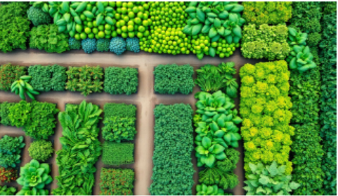 Organic Farming